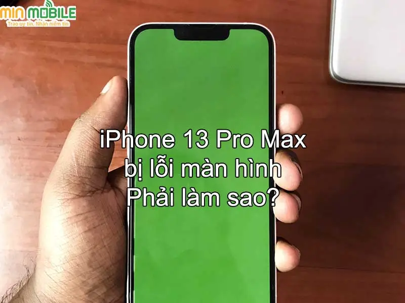iPhone 13 Pro Max bị lỗi màn hình trắng - Phải làm sao đây?