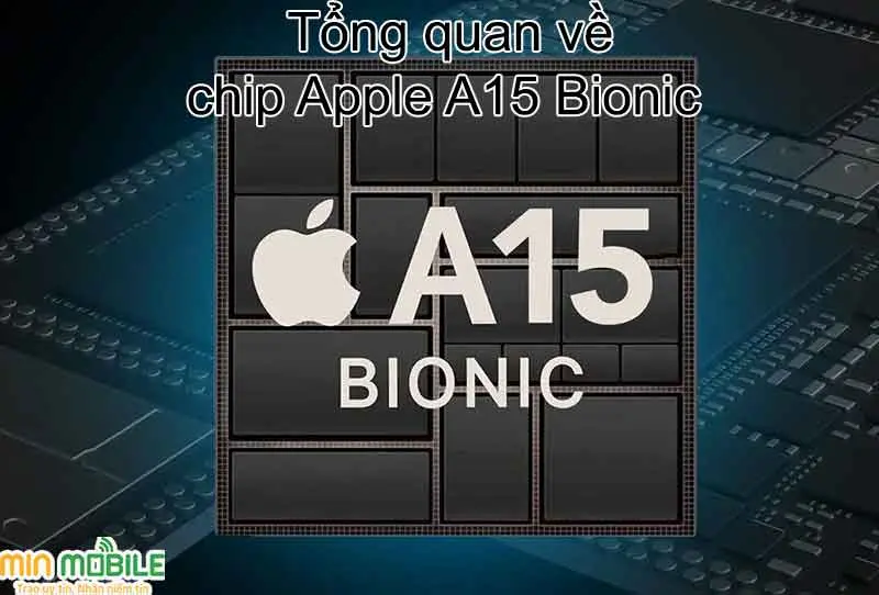 Tất tần tật về con chip Apple A15 Bionic: Có mạnh mẽ như lời đồn
