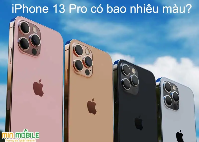 iPhone 13 Pro có mấy màu? Nên lựa chọn màu nào cho phù hợp?