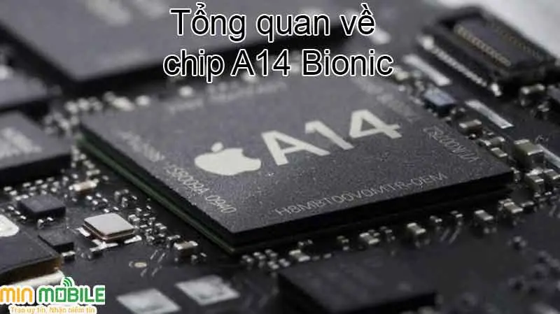 Giải đáp về vi xử lý Apple A14 Bionic trên iPhone 12 series
