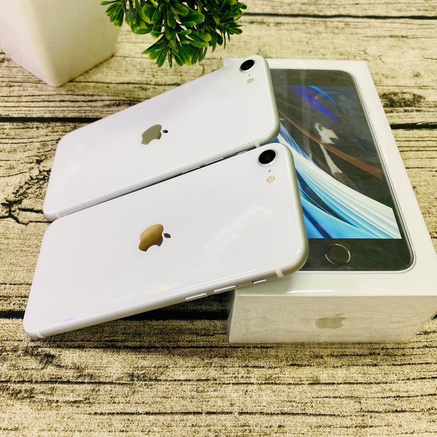 iPhone SE 2020 cũ giá rẻ