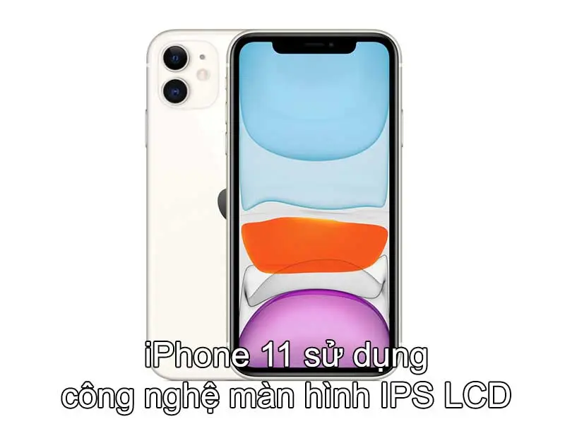 iPhone 11 thường được trang bị công nghệ màn hình IPS LCD