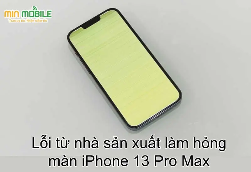iPhone 13 Pro Max bị lỗi màn hình do lỗi sản xuất hay trong quá trình vận chuyển