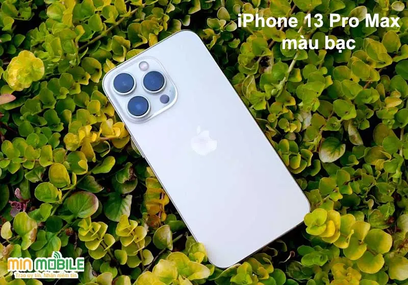 iPhone 13 Pro Max màu bạc Silver truyền thống