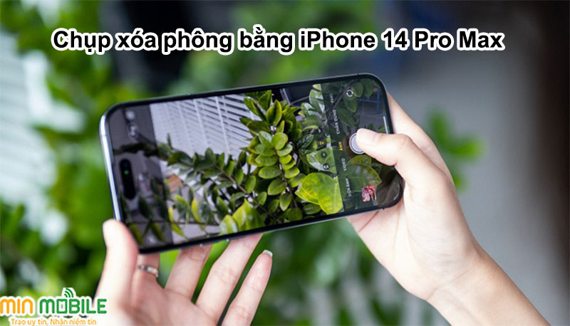 Chế độ chụp xóa phông giúp đối tượng được chụp trông sắc nét hơn trên iPhone 14 Pro Max