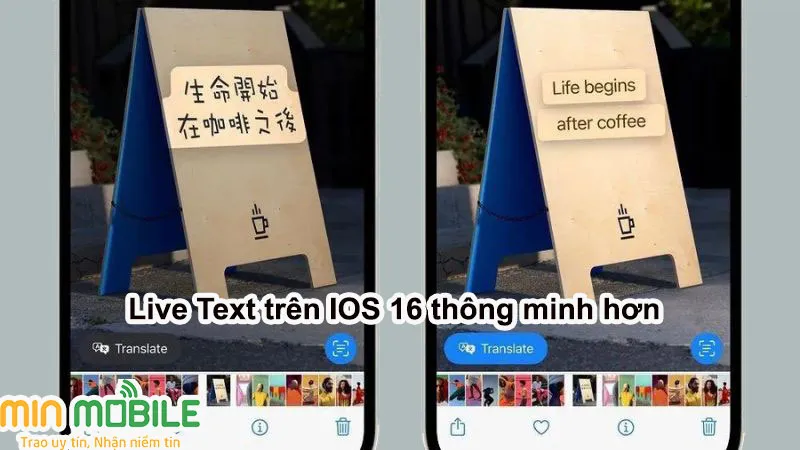 IOS 16 giúp Live Text thông minh hơn